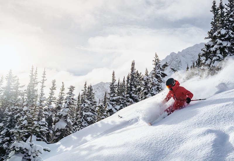 Conference 2026 Image